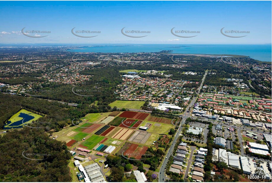 Aerial Photo Cleveland QLD Aerial Photography