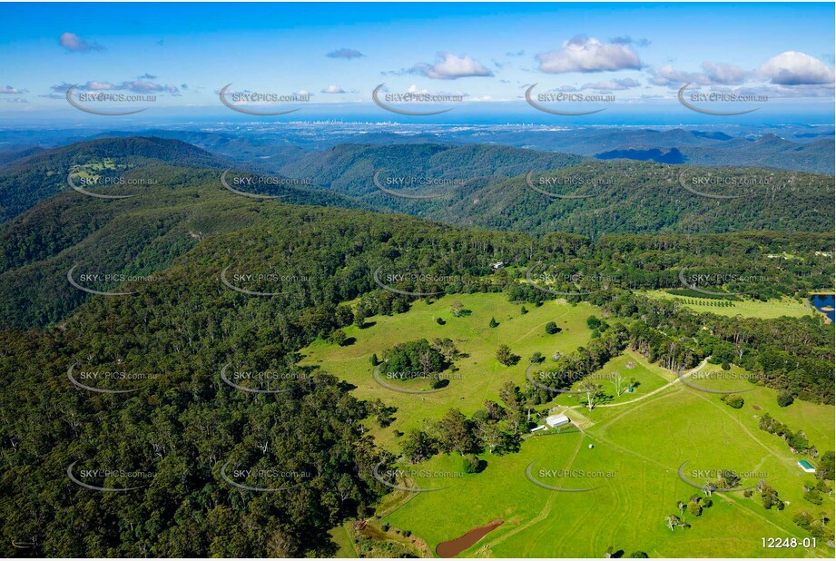 Springbrook QLD QLD Aerial Photography
