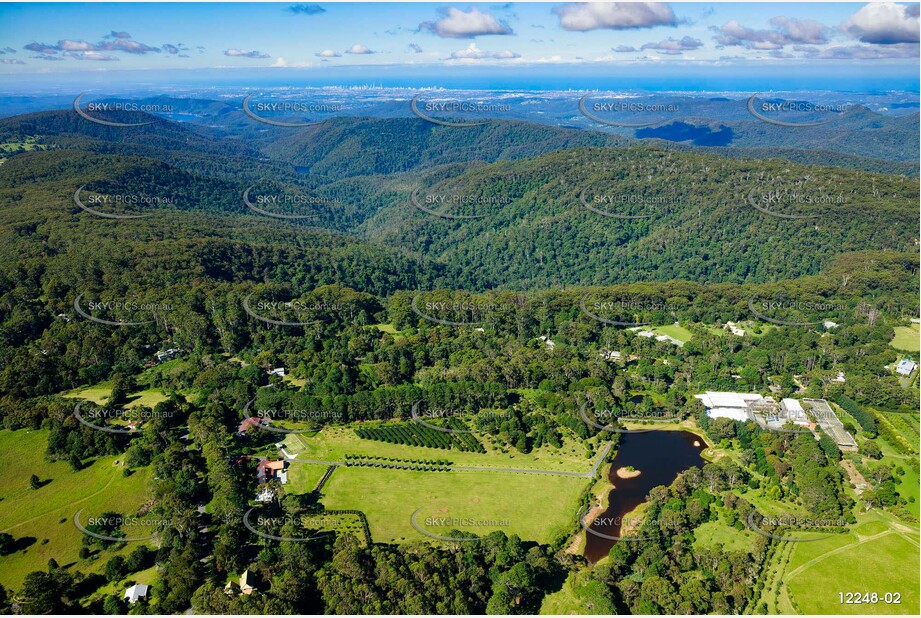 Springbrook QLD QLD Aerial Photography