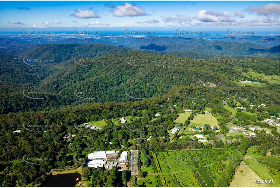 Springbrook QLD QLD Aerial Photography