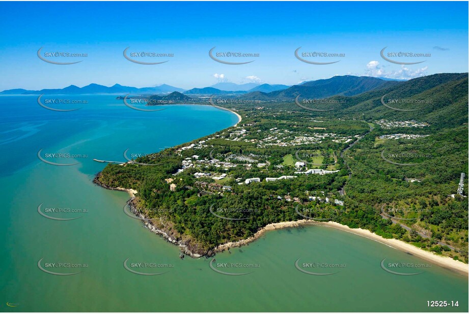 Aerial Photo Palm Cove QLD 4879 QLD Aerial Photography