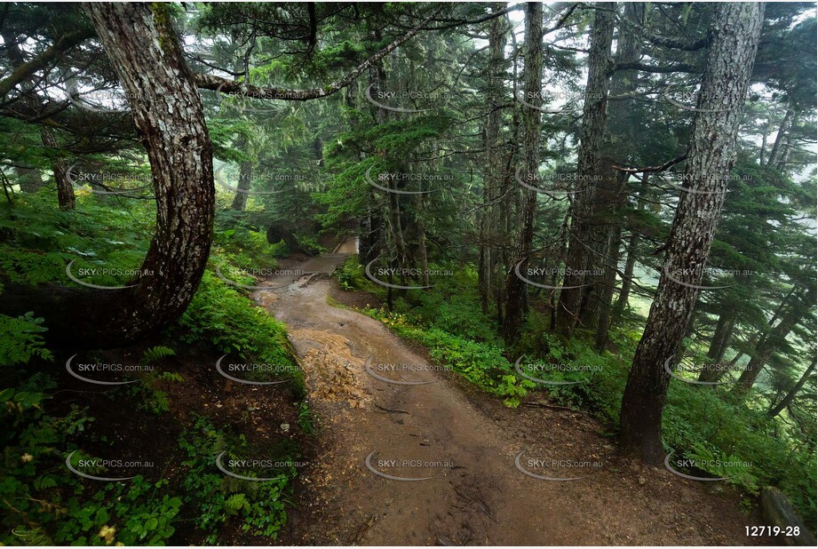 Mountain Trail Aerial Photography