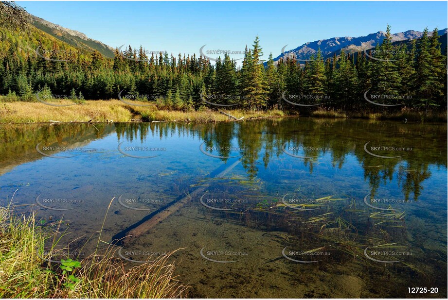 Beaver Dam Aerial Photography