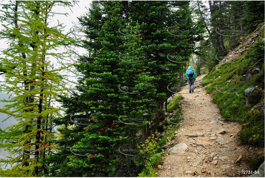 The Beehive Trail - Lake Agnes Aerial Photography