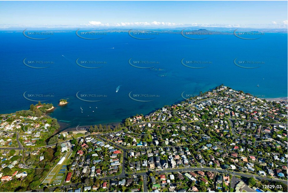 Aerial Photo Waiake Auckland NZ Aerial Photography