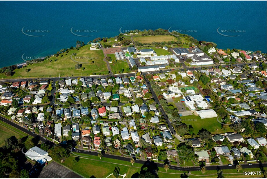 Aerial Photo Narrow Neck Auckland NZ Aerial Photography