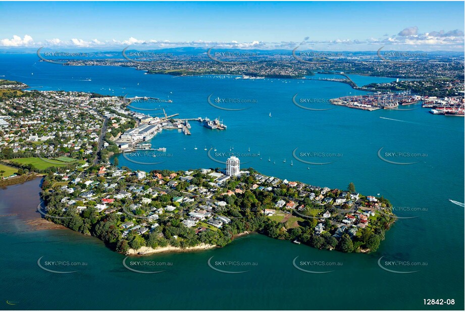 Aerial Photo Stanley Point Auckland NZ Aerial Photography