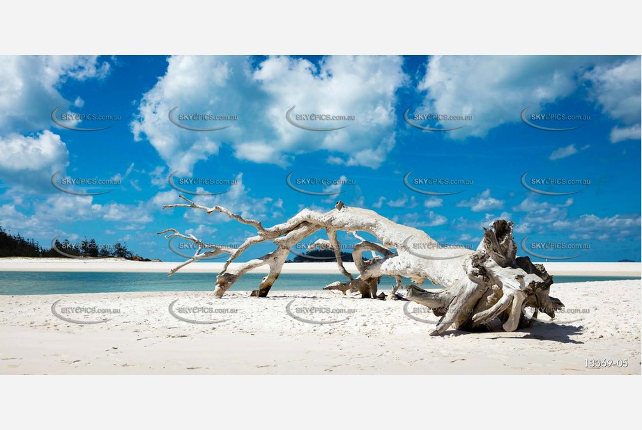 Driftwood on Whitehaven Beach Aerial Photography