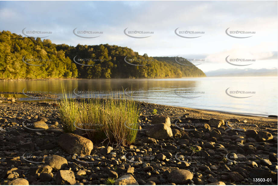 Brod Bay - Lake Te Anua Aerial Photography