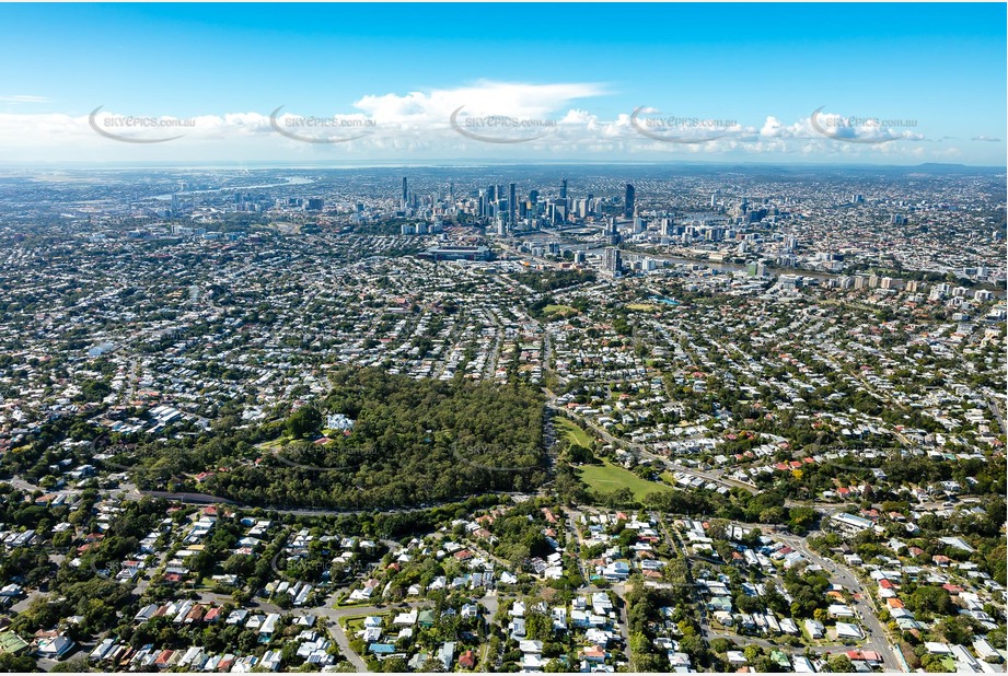 Aerial Photo Bardon QLD Aerial Photography