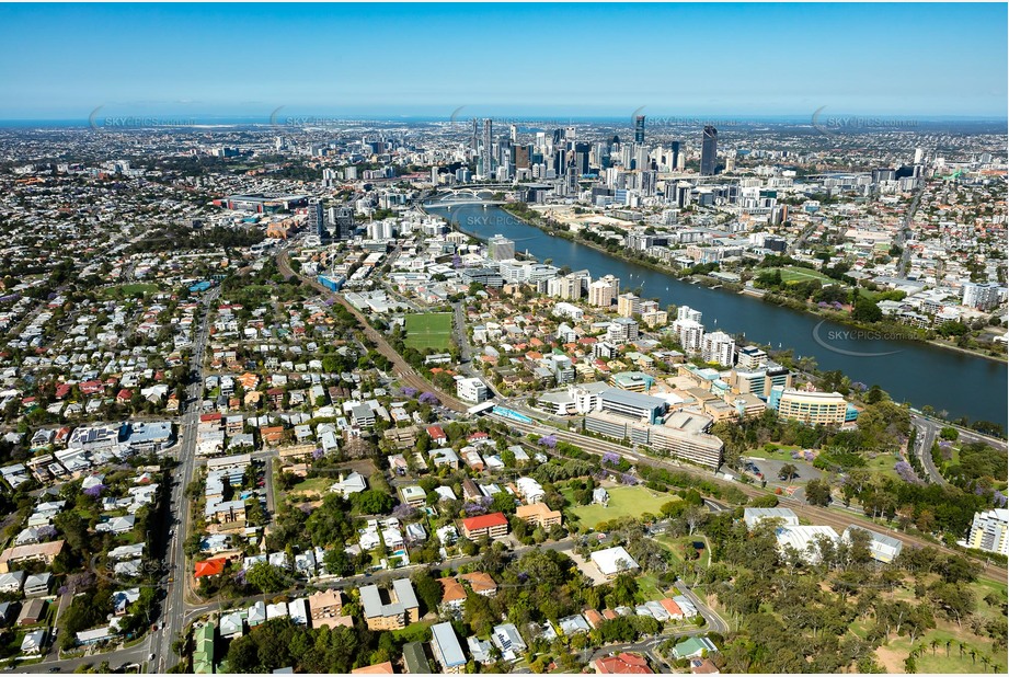 Aerial Photo Auchenflower QLD Aerial Photography