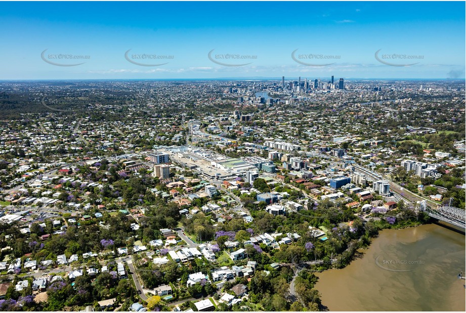 Aerial Photo Indooroopilly QLD Aerial Photography