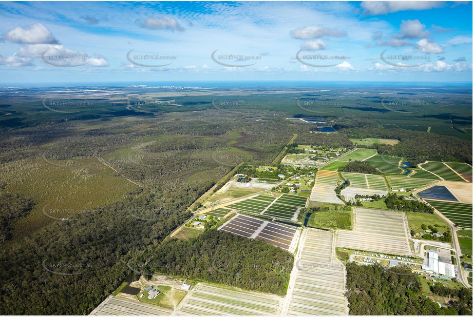 Aerial Photo Beerwah QLD Aerial Photography