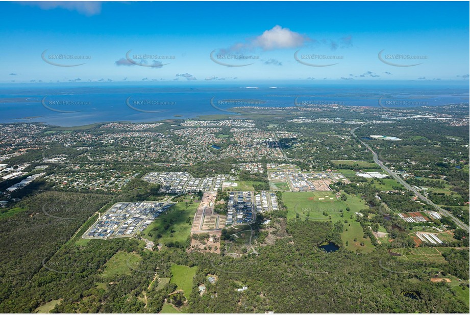 Aerial Photo Thornlands QLD Aerial Photography