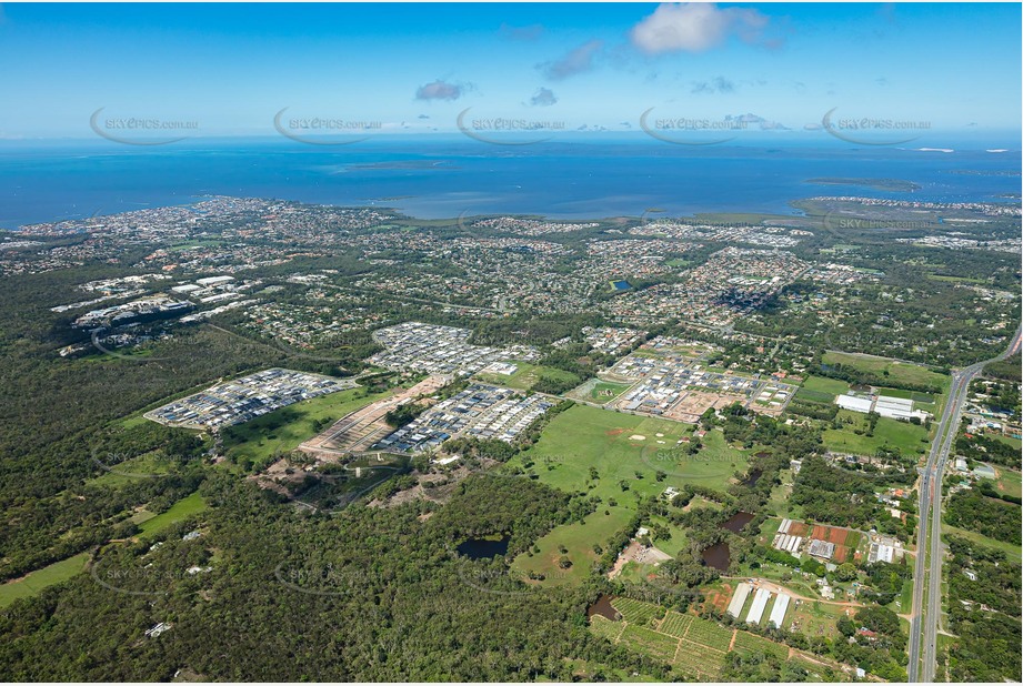 Aerial Photo Thornlands QLD Aerial Photography