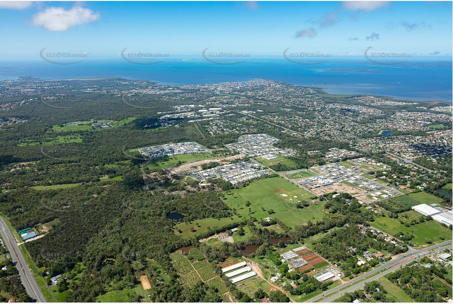 Aerial Photo Thornlands QLD Aerial Photography