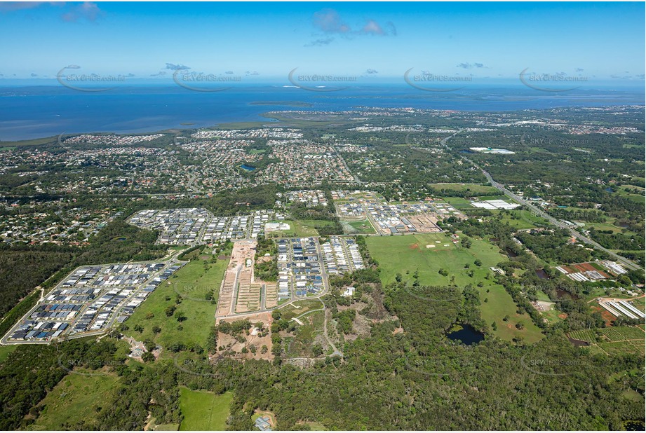 Aerial Photo Thornlands QLD Aerial Photography