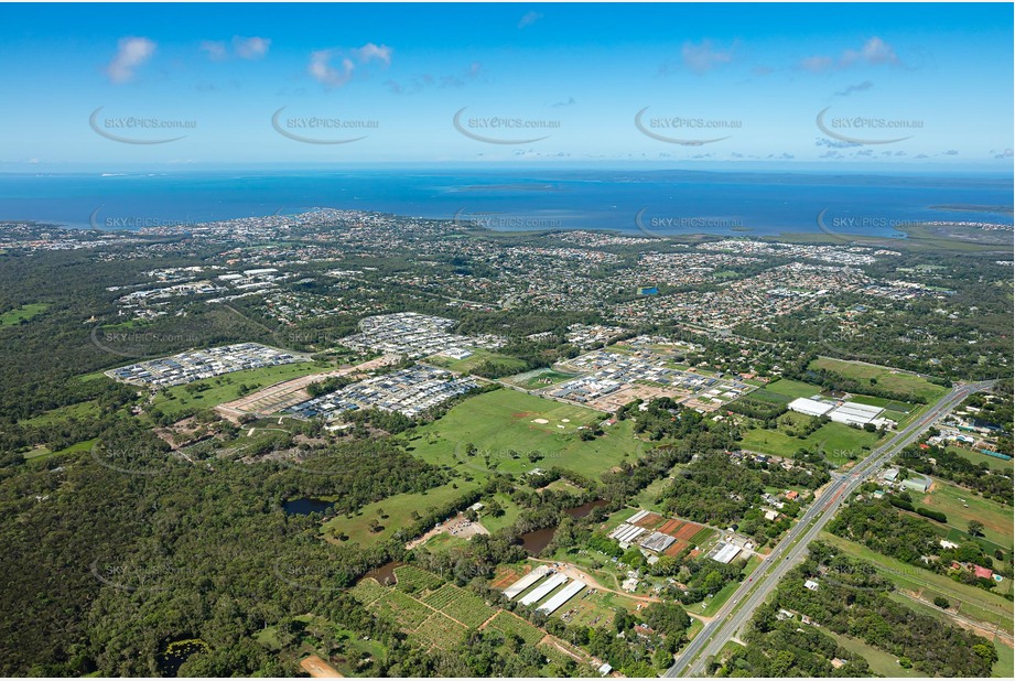 Aerial Photo Thornlands QLD Aerial Photography