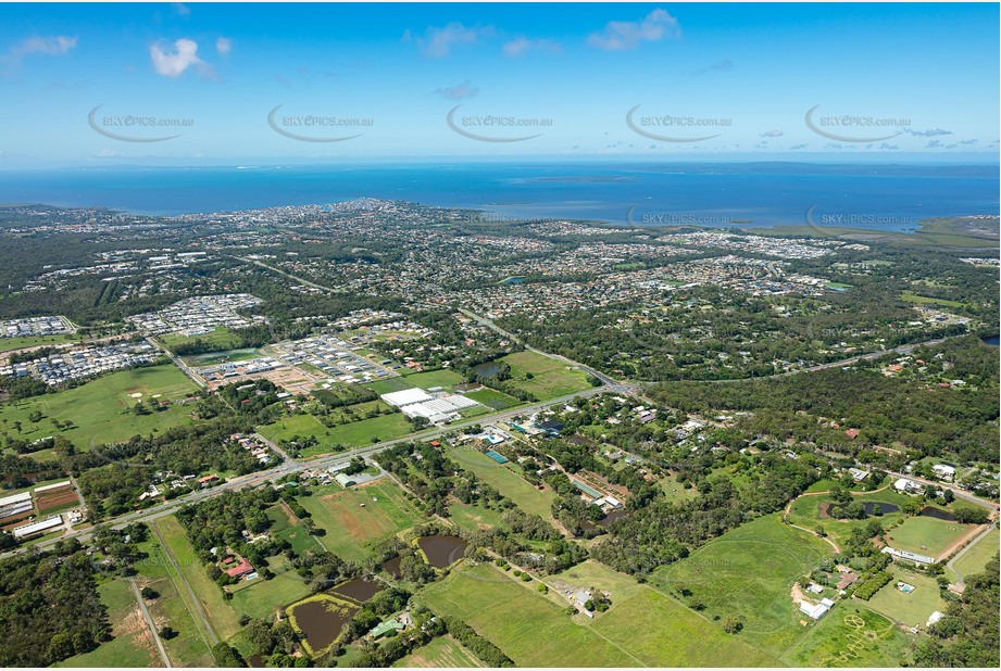Aerial Photo Thornlands QLD Aerial Photography
