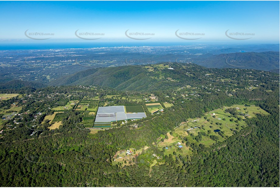High Altitude Aerial Photo Tamborine Mountain QLD Aerial Photography