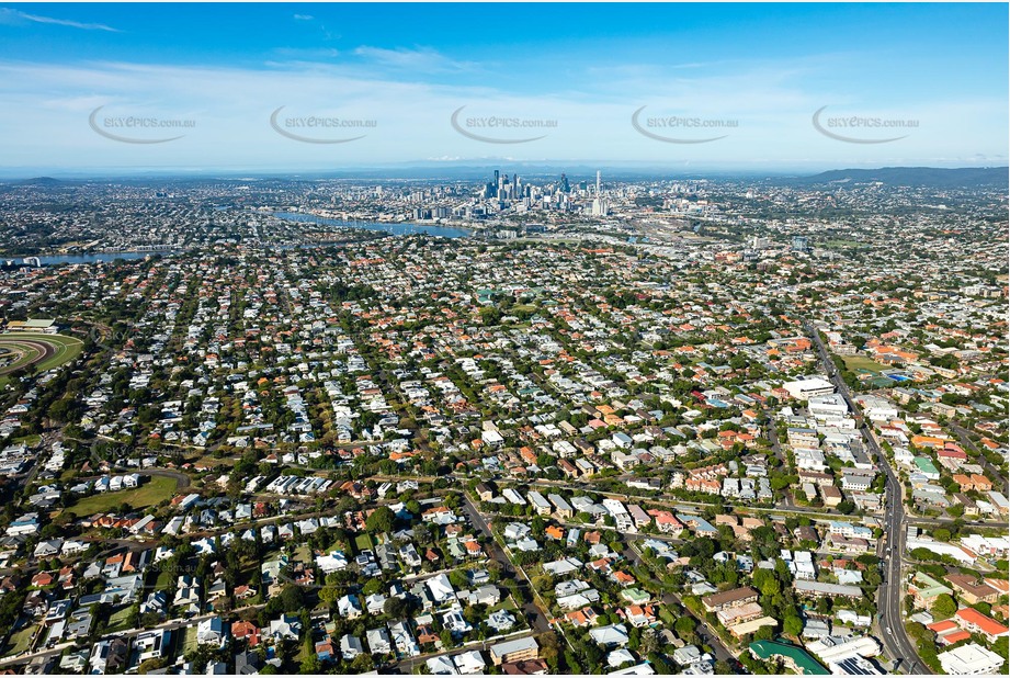 Aerial Photo Clayfield QLD Aerial Photography