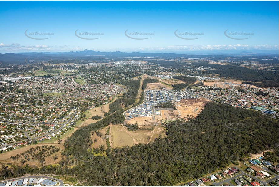 Aerial Photo Collingwood Park QLD Aerial Photography