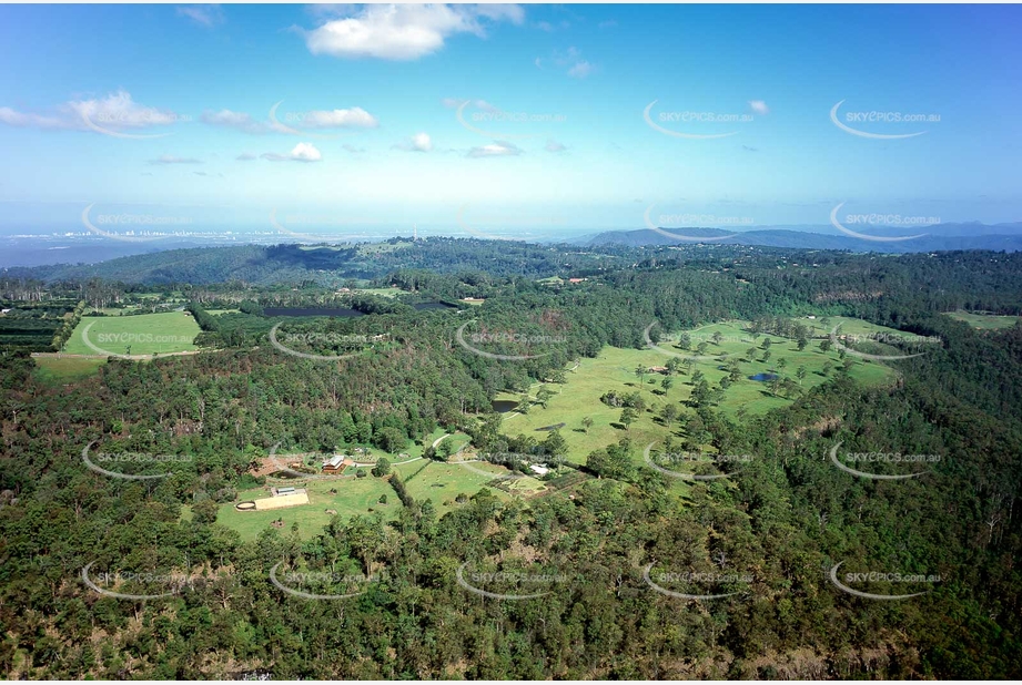 Historic Aerial Photo Tamborine Mountain QLD Aerial Photography