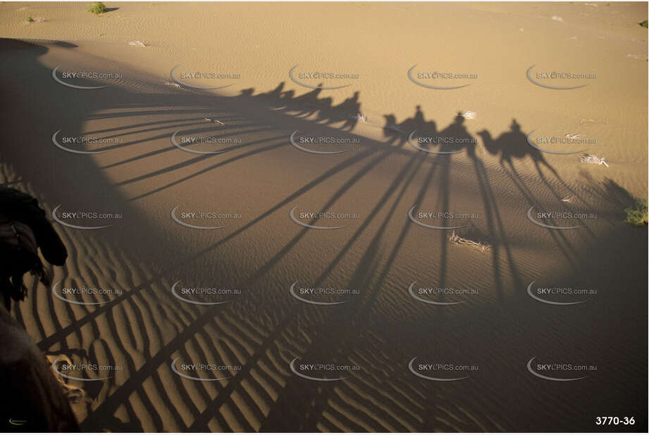 Camel Shadows Aerial Photography