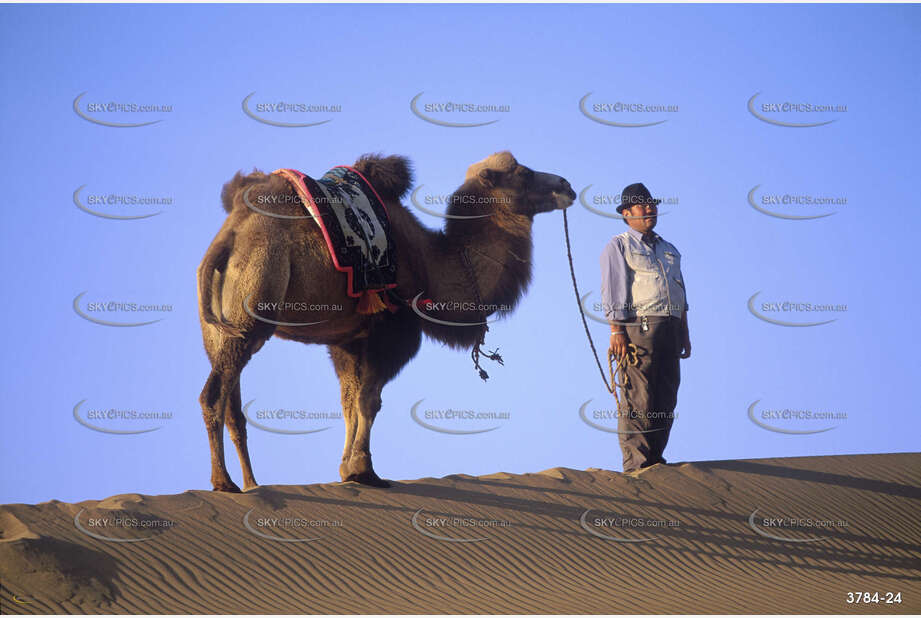 A Man and his Camel Aerial Photography