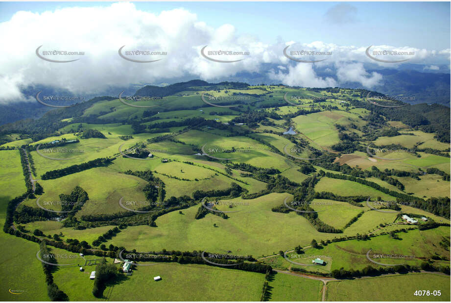 Aerial Photo Dorrigo Aerial Photography