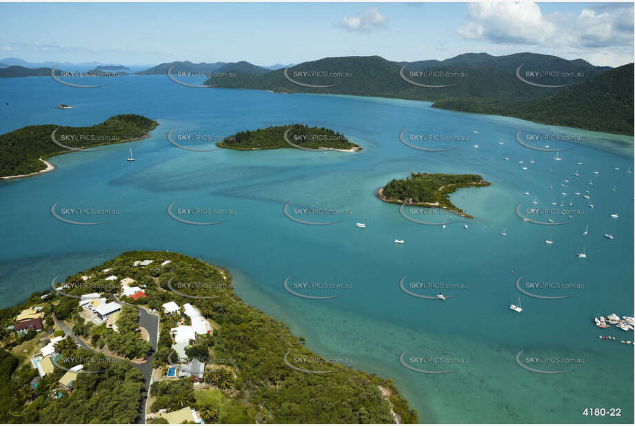 Aerial Photo Shute Harbour QLD Aerial Photography