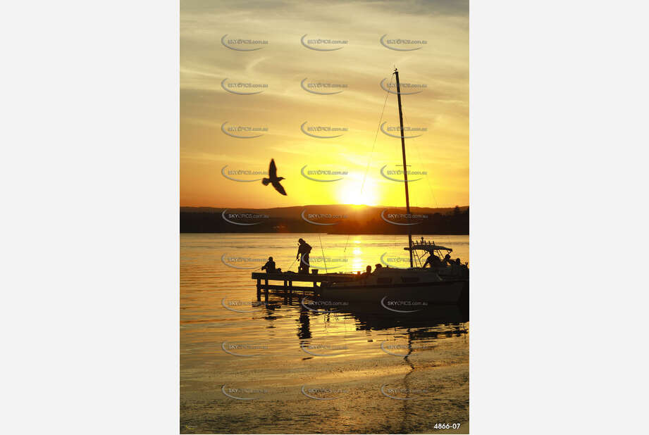 Sunset With Seagull Aerial Photography