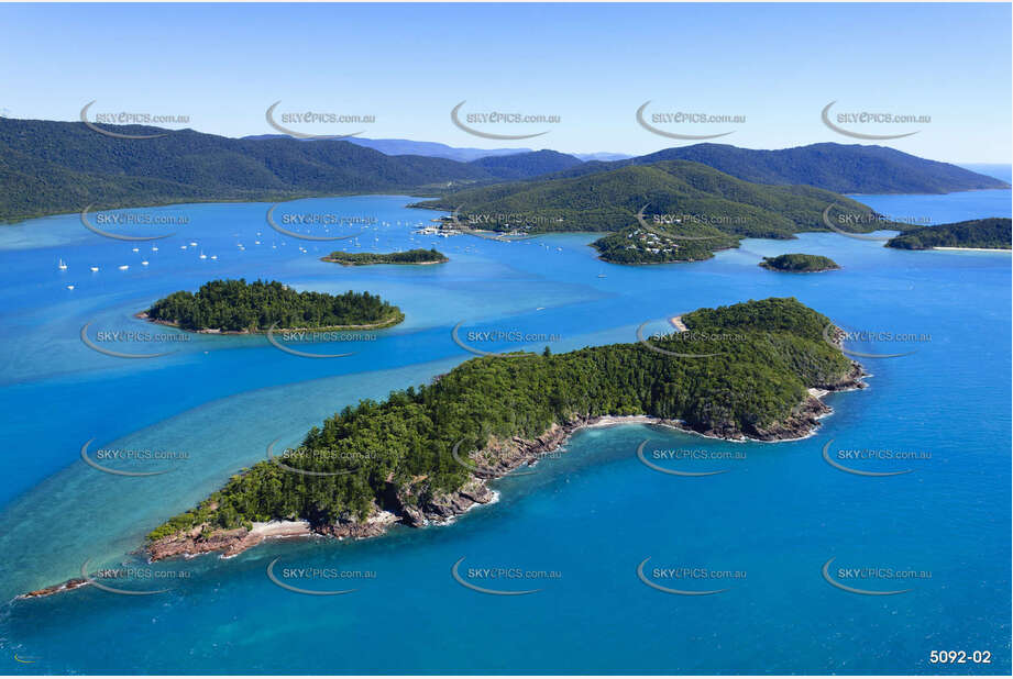Aerial Photo Shute Harbour QLD Aerial Photography