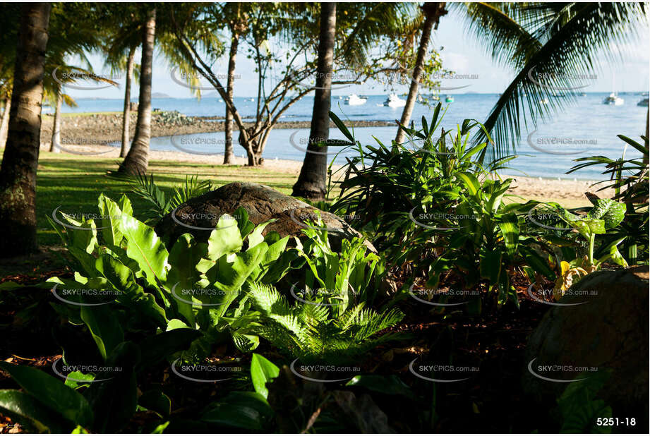 Parkland Airlie Beach QLD Aerial Photography