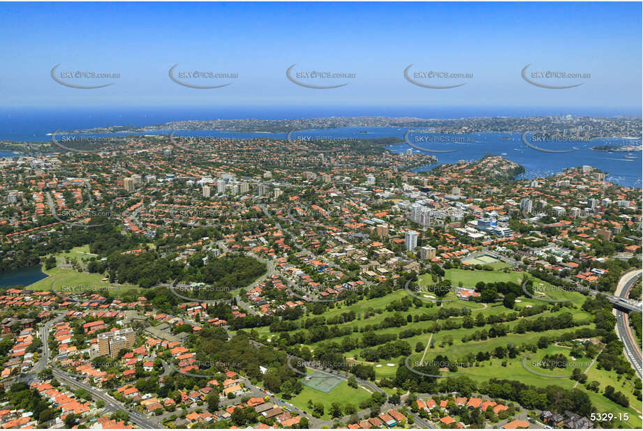 Aerial Photo Cammeray Aerial Photography
