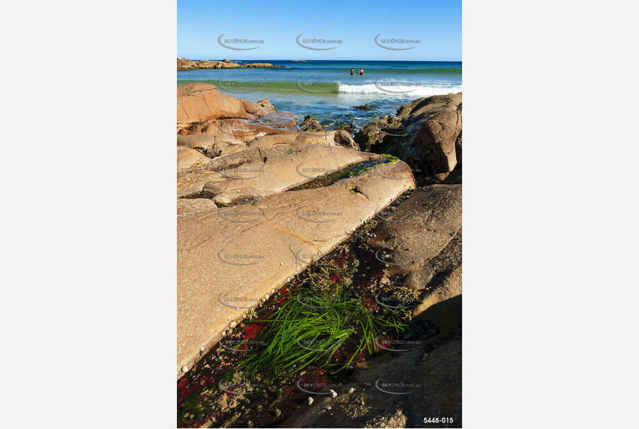 Rockpool with Seaweed NSW Aerial Photography