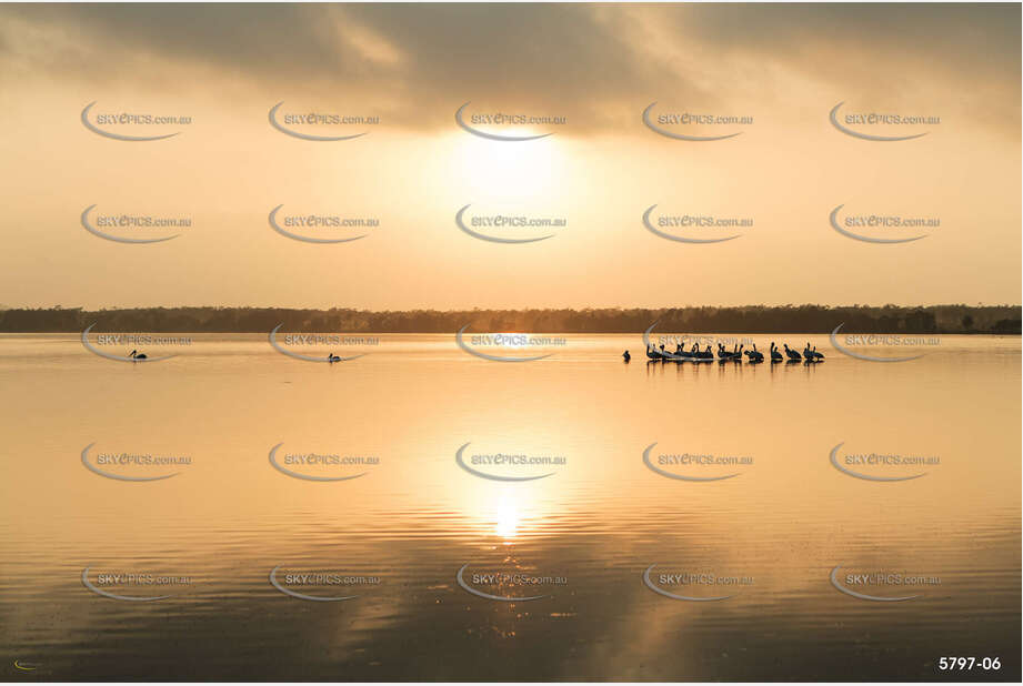 Pelicans at sunrise on Wallis Lake NSW Aerial Photography