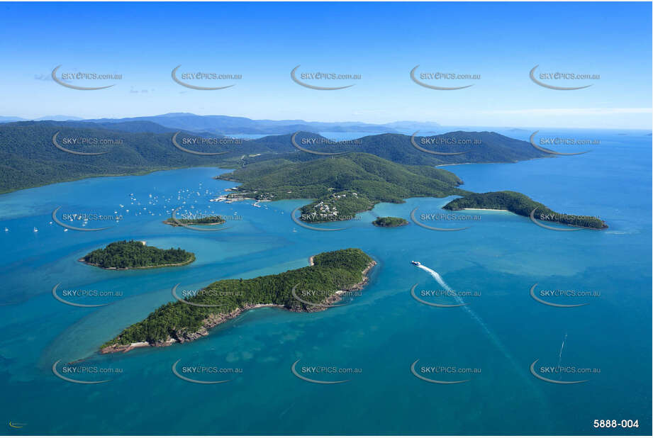Aerial Photo Shute Harbour QLD Aerial Photography