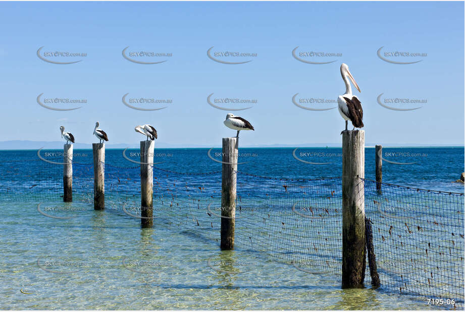 Man Fishing QLD Aerial Photography