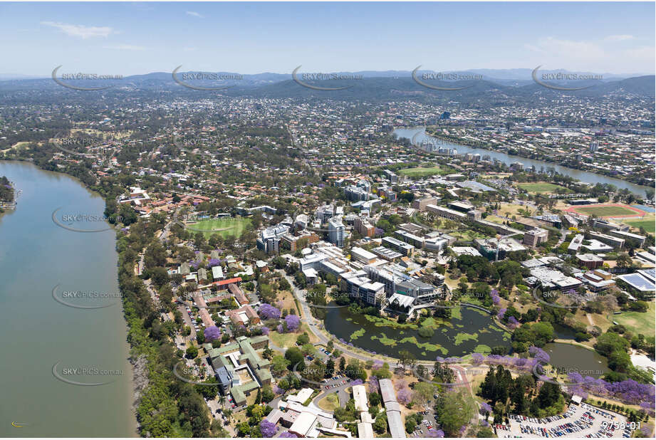 Aerial Photo The University of Queensland St Lucia QLD Aerial Photography