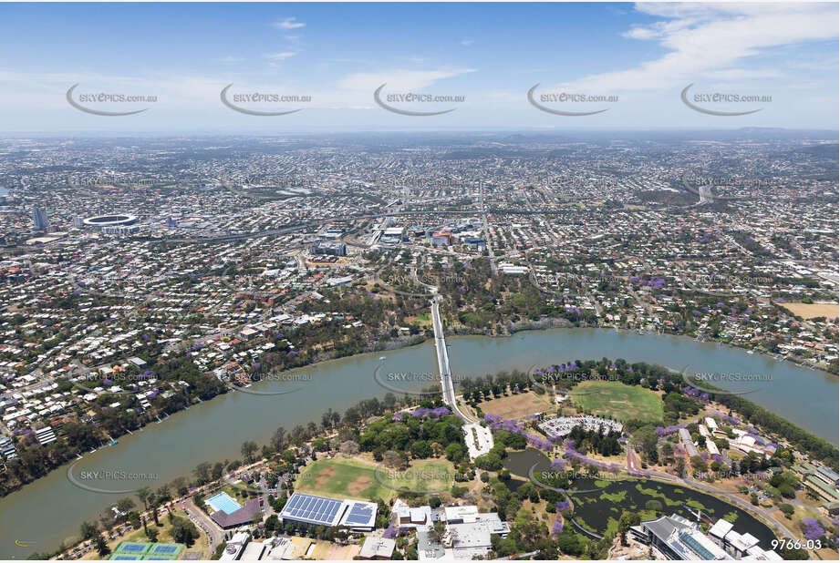 Aerial Photo Dutton Park QLD Aerial Photography